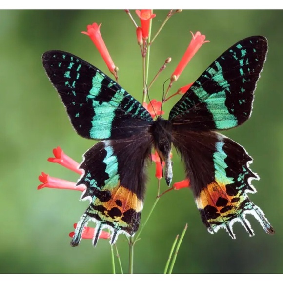 Welcome - Picture 12 of 16